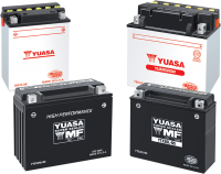 AGM (MAINTENANCE-FREE) BATTERIES